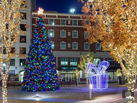 Christmas Lights at San Jacinto Plaza