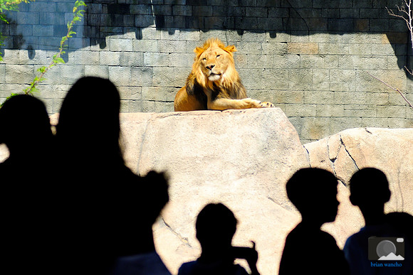 El Paso Zoo