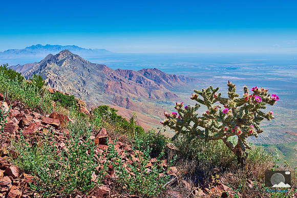 View from North Franklin Peak